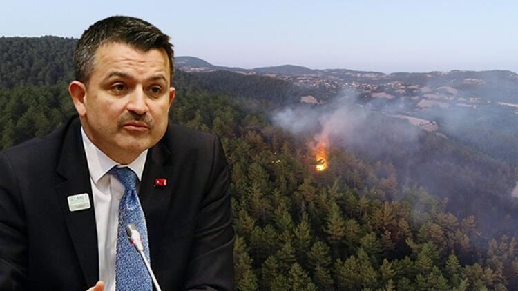 Tarım ve Orman Bakanı Pakdemirli, 42 yangın kontrol altına alındı