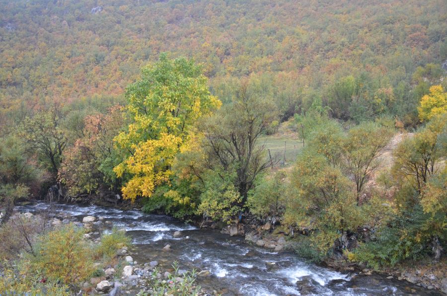 ŞIRNAK’TA KARADENİZ