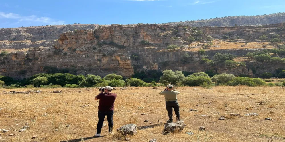 ŞIRNAK’TA KAÇAK AVCILIĞA KARŞI EKİPLER DENETİMLERE DEVAM EDİYOR